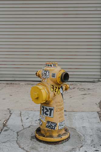 los angeles yellow and white fire hydrant united states